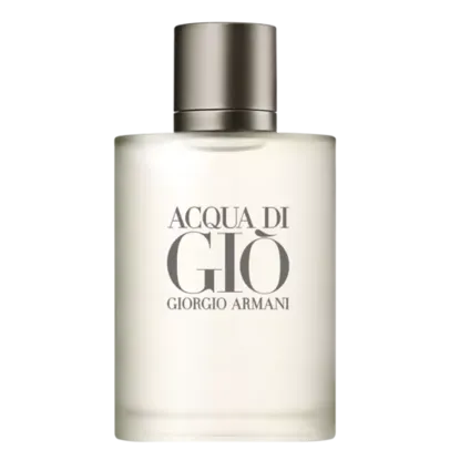 Perfume Giorgio Armani Acqua Di Gio Pour Homme Eau de Toiletti Masculino 100ml