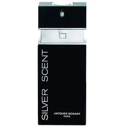 Silver Scent - 100ml - EDT - Masculino