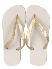 Chinelo Feminino Ipanema Clássica | R$5