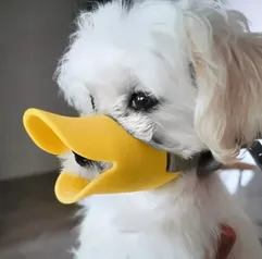 [Conta Nova/Taxa Inclusa] Focinheira de silicone para cães em formato bico de pato 