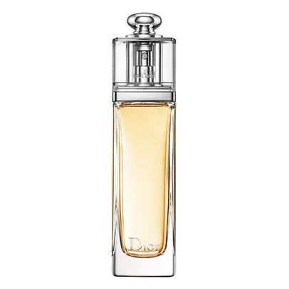 Perfume feminino DIOR ADDICT EDTV 100ml | R$269
