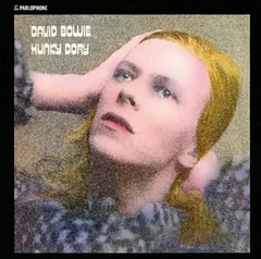 [Alguns CEPs] CD David Bowie Hunky Dory | R$3,99