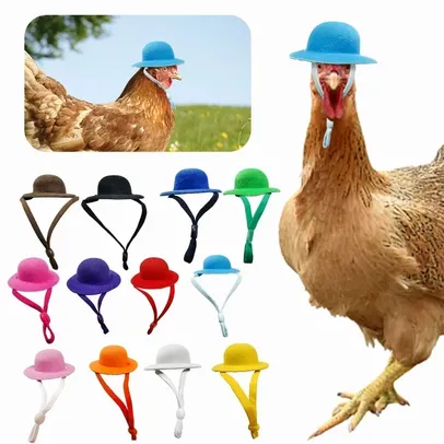 Chapéu De Frango, Pequenos Animais De Estimação, Acessórios Engraçados De Frango