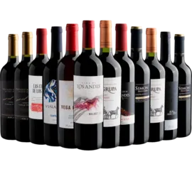 Kit 12 vinhos por R$22 cada garrafa