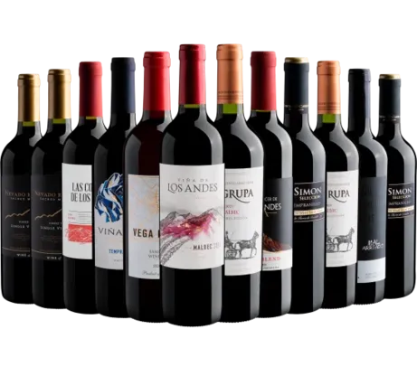 Kit 12 vinhos por R$22 cada garrafa