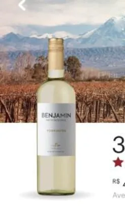 Vinho Benjamin Torrontes Argentino - 750ml | R$9,99