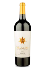 [4 UNIDADES - R$ 78,67 CADA] Vinho Tinto Clos de Los Siete By Michel Rolland 2020