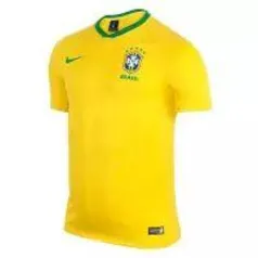 Camisa Nike Brasil Masculino - R$80