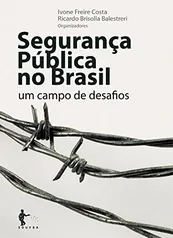 [EBOOK] Segurança pública no Brasil: um campo de desafios