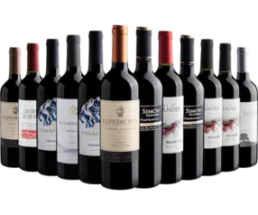 Kit 12 Vinhos Tintos por R$21,90 cada garrafa*