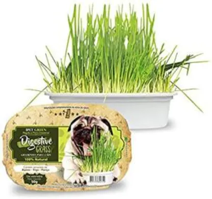[Prime] Ipet Green Digestive Grass Graminha Para Cães 50G - R$ 14