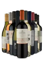 Kit 10 vinhos da América do Sul (10 Vinhos) | R$299