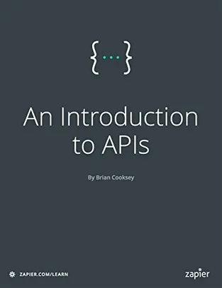 [eBook Kindle] An Introduction to APIs (English Edition)