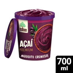 [Leve 2 pague 1] Sorvete Mãe Terra Sabor Açaí premium pote 700ml