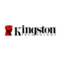 Logo Kingston Store