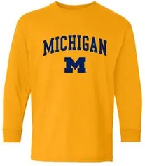 CAMISA MICHIGAN NCAA EUA R$169