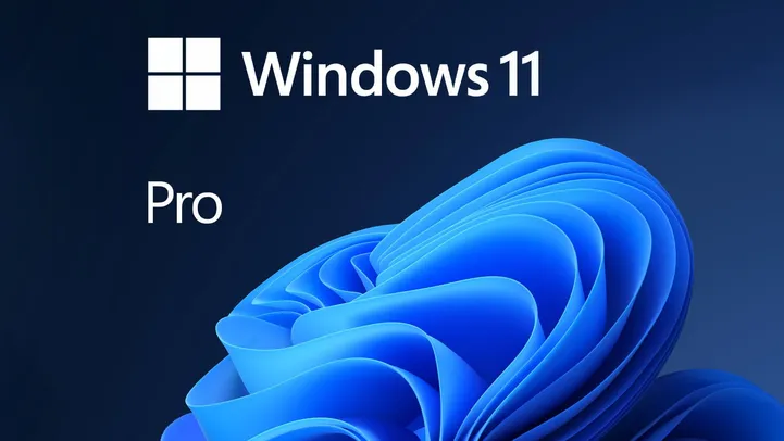  Windows 11 Pro Microsoft Store