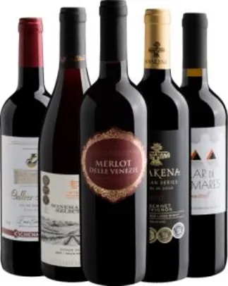 Kit de vinhos Tintos do Mundo da Evino - R$140