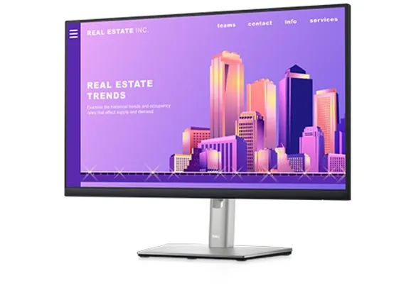 Monitor 23.8" Dell P2422H