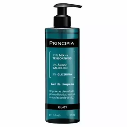 GEL DE LIMPEZA GL-01 350G - PRINCIPIA