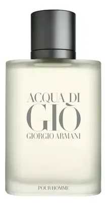 Perfume - Acqua Di Gio Giorgio Armani 100ml