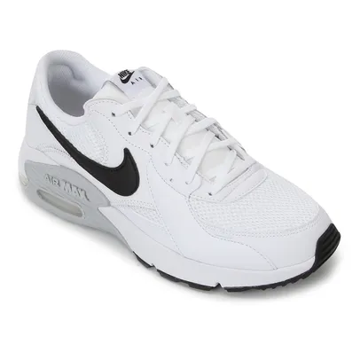 Tênis Nike Air Max Excee Masculino (41)