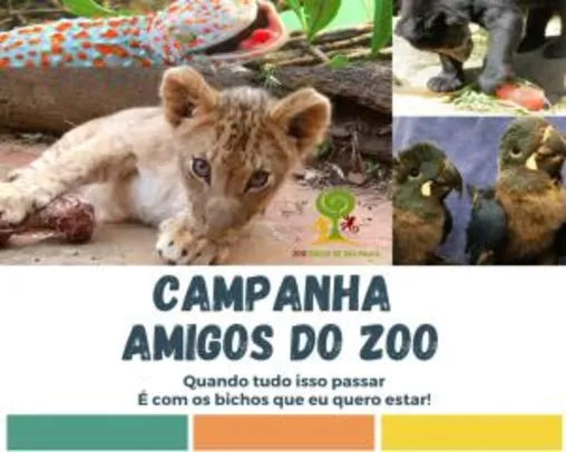 Ingresso Antecipado no Zoológico de São Paulo | R$25