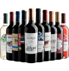 Kit 10 vinhos por R$21,90 cada | R$219