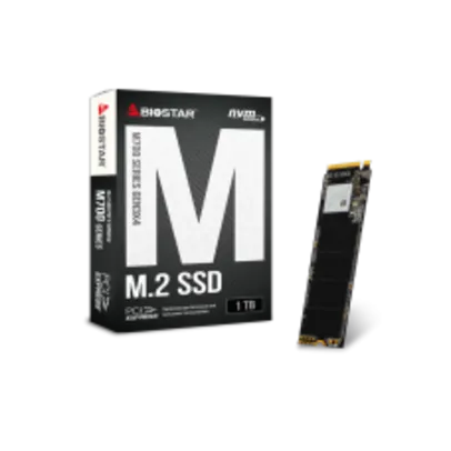 SSD Biostar M700, 1TB, M.2 2280, NVMe, Leitura 2000MBs e Gravação 1650MBs, SS263PME3T-PMABL-BS2