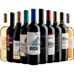 Kit 10 vinhos selecionados por R$199