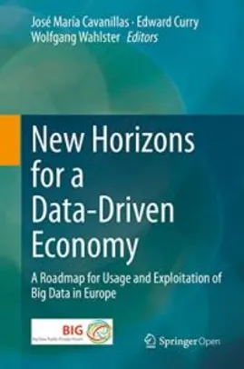 Ebook - New Horizons for a Data-Driven Economy: A Roadmap for Usage and Exploitation of Big Data in Europe (English Edition)