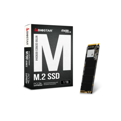 SSD Biostar M700, 1TB, M.2 2280, NVMe, Leitura 2000MBs e Gravação 1650MBs, SS263PME3T-PMABL-BS2