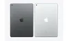 Imagem do produto Apple iPad (9a Geração) 10.2 Wi-Fi 256GB - Cinza-espacial