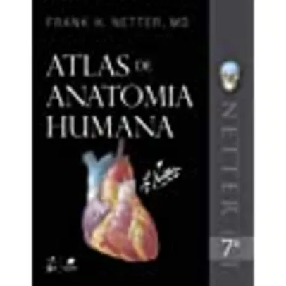 [prime] Netter - Atlas de Anatomia Humana 7ed 