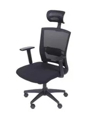 Cadeira Ergonômica New Ergon Presidente | R$456