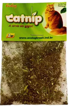 Erva Rexante Para Gatos Cat Nip - Cat Dog