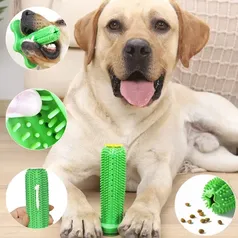 [Moedas] Cactus brinquedo interativo, divertido e macio para você brincar com seu melhor amigo dog