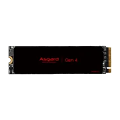 SSD Asgard AN4.0 Lite NVME Gen4 1TB 5000/4700 MB/s