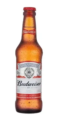 Pack Cerveja Budweiser 330 Ml Long Neck Com 6 Unidades