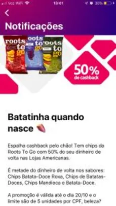 [Ame - Loja Fisica] Chips Roots to Go - 50%