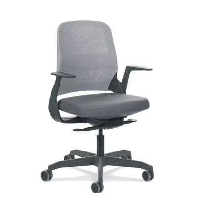 Cadeira My Chair FLEXFORM - Black November