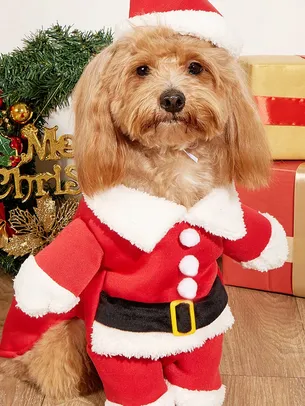 Fantasia Noel para Cães